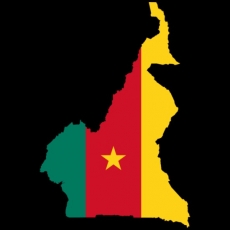 Drapeau Cameroun