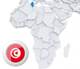Envoi Colis Tunisie